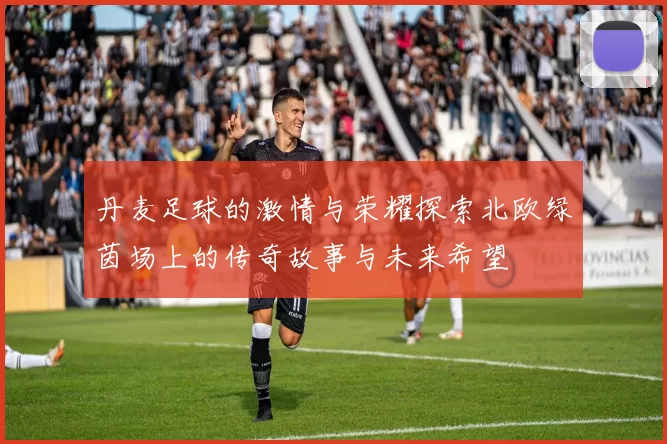 丹麦足球的激情与荣耀探索北欧绿茵场上的传奇故事与未来希望
