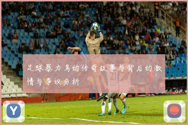 足球暴力鸟的传奇故事与背后的激情与争议分析