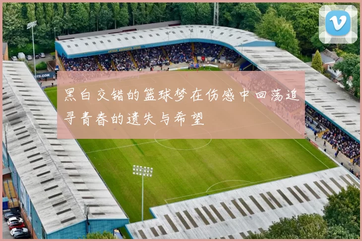 黑白交错的篮球梦在伤感中回荡追寻青春的遗失与希望